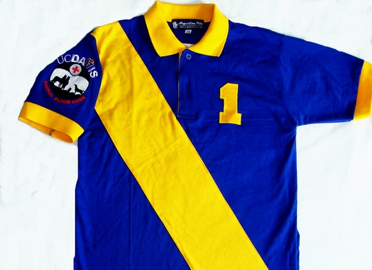 polo blue and yellow